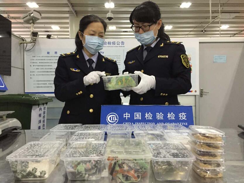 深圳福田口岸预约车接送